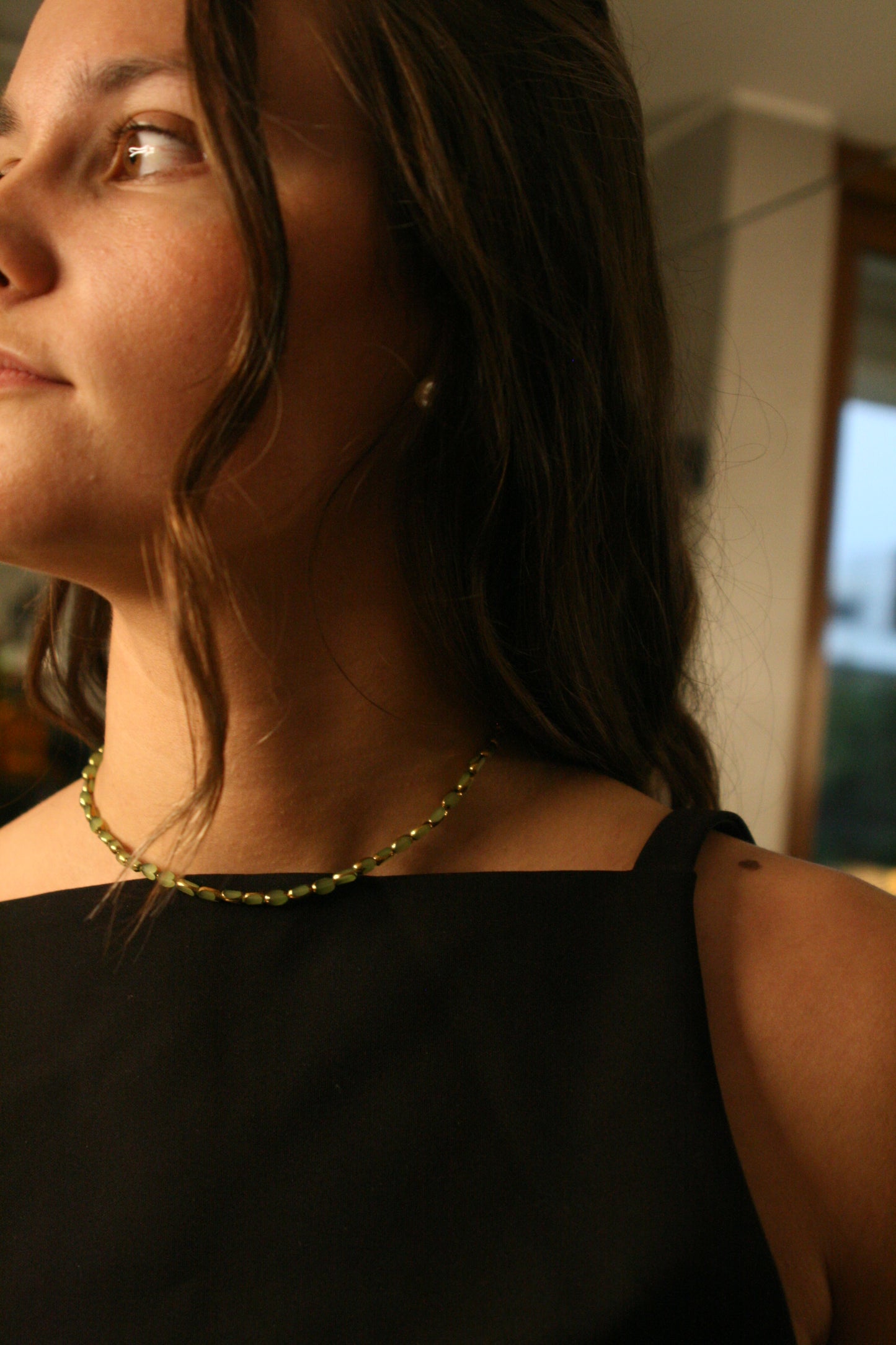Collar No 102