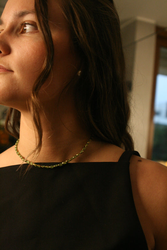 Collar No 102